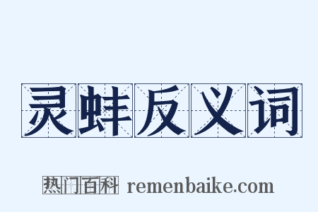 灵蚌反义词是什么意思的图片